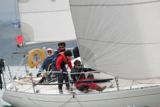 amber haze gbr4177 whyw17 thur gjmc 8315